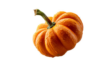 Bright orange pumpkin with a textured surface