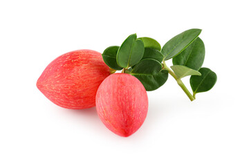 Japanese Bengal currant fruit with green leaves isolated on white background, exotic tropical berry...