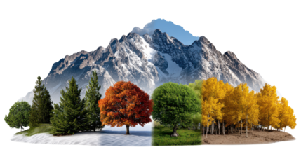 Seasonal Harmony: A visual ode to the cyclical beauty of nature, depicting a snowy mountain and a vivid display of the four seasons, symbolizing transformation, growth, and renewal.
