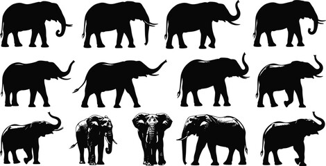 Elephant silhouettes in various poses, vector wildlife illustration, black and white animal design, nature art, stock graphic, creative asset