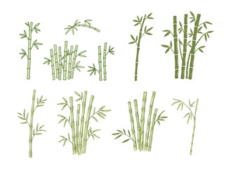 A collection of bamboo plant illustrations in a hand-drawn style, showcasing different stalks and leaves, representing Asian nature and sustainability.