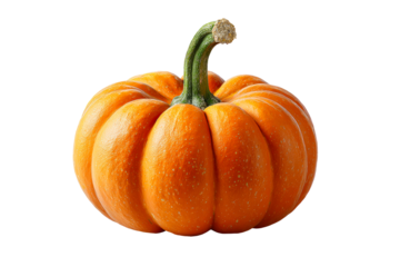 Textured orange pumpkin on clear bg