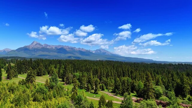 Rising over the vast pine tree forests covering the valley in Slovakia wilderness. Stunning Tatra mountains at backdrop.