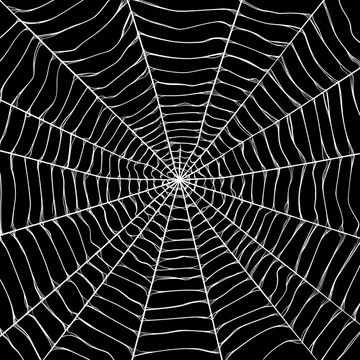 gobo texture shadows seamless spider web design with sharp edges in monochrome