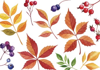 Obraz premium Autumnal Hues & Berries
