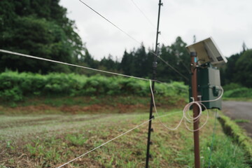 動物用の電線が張られた山の畑