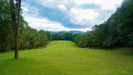Green grass background, top view background of garden bright grass concept.