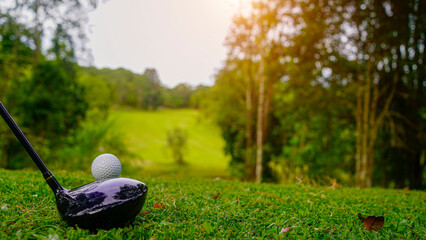 Golf clubs and golf balls on a green lawn in a beautiful golf course with morning sunshine.
