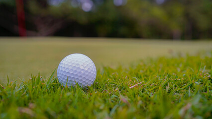 Golf ball on green grass in the evening golf course with sunshine background.