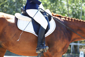 Close-up of a dressage horse under saddle at a summer competition. Beautiful quality leather saddle
