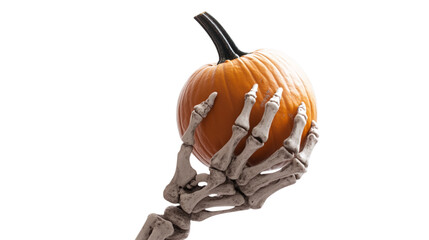 • A spooky Halloween skeleton hand holding a pumpkin, isolated on white background in HD 