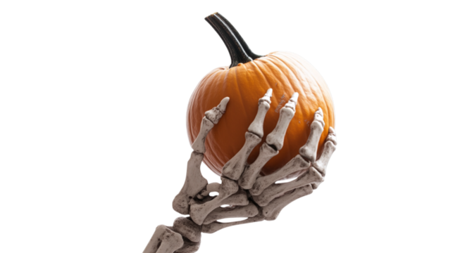 • A spooky Halloween skeleton hand holding a pumpkin, isolated on white background in HD 