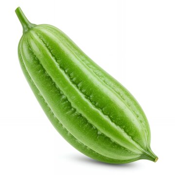 Fresh green pointed gourd vegetable isolated on white background for Asian cuisine cooking ingredients