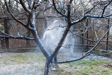 A woman works in the spring garden and spray with a rechargeable sprayer chemicals against pests
