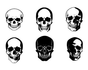 Varios cráneos en formato vectorial cilueta negro.