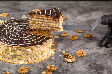 Esterhazy cake. Cake decoration. Chocolate glaze. Frosting decoration