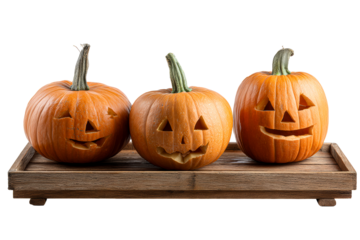 Pumpkins on tray for Halloween