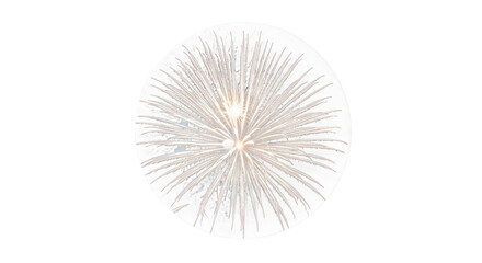 Bright white fireworks bursting in a dark night sky