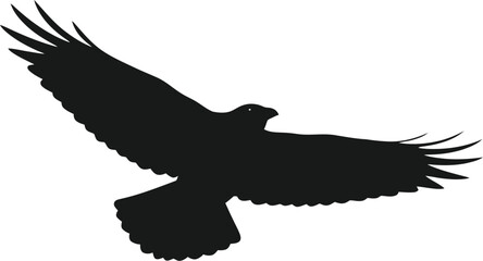 Black eagle silhouette flying on a plain background, freedom concept