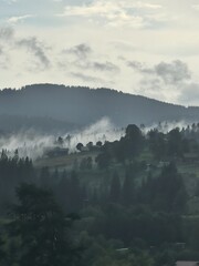 Serene Morning Mountain Forest Shrouded in Mist