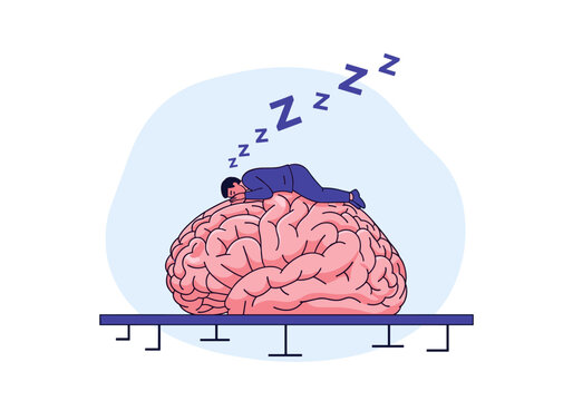 The profound impact of quality sleep on cognitive function and overall brain health an exploration