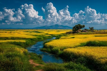 Obraz premium Rural river flowing through vibrant yellow crops high resolution picture