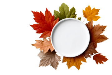 Seasonal centerpiece with autumn leaves and plate