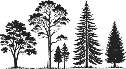 Pine tree silhouettes. Evergreen forest firs and spruces black shapes, wild nature trees templates. Vector illustration woodland trees set on white background. black silhouette vector illustration.