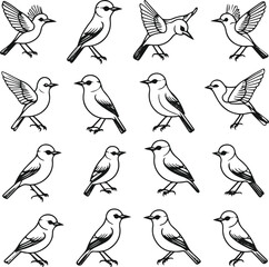 Collection of unique songbirds in different poses flying, perched, landing created in thin black line art style, uniform stroke width, minimal and elegant outlines