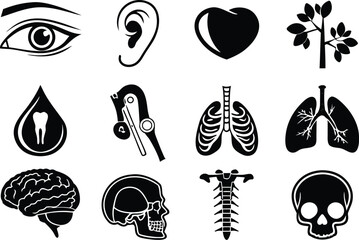 Human Anatomy Organs icon set bundle with editable white background