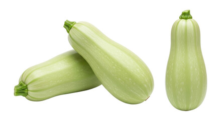Isolated Zucchini