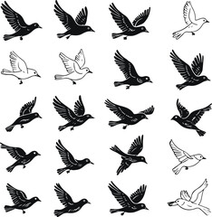  simple black line illustrations of birds in motion, hand-drawn vector style with clean outlines, no color fill, no background 2
