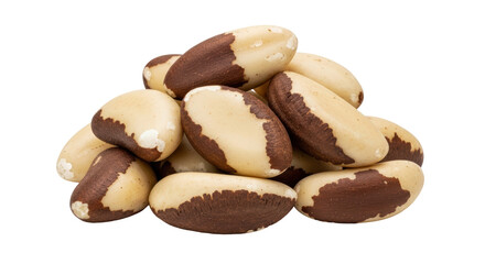Isolated Pile of Brazil Nuts