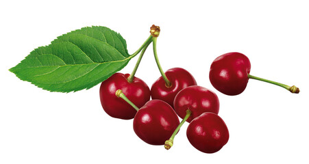 cerejas frescas isolado em fundo transparente