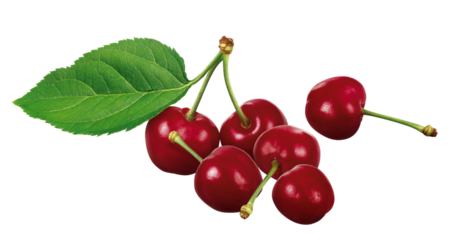 cerejas frescas isolado em fundo transparente