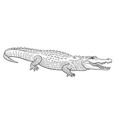 crocodile, minimalistic linear drawing, simple black and white contour illustration, vector, isolated, clean design, modern minimal contour sketch for posters, prints and decor