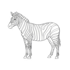 Zebra, minimalistic line drawing, simple black and white contour illustration, vector, isolated, clean design, modern minimal contour sketch for posters, prints and decor
