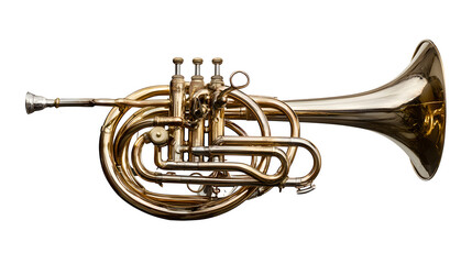 Naklejka premium Fife instrument used in field music ensembles