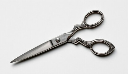 Polished metal shears, ornate handles, on a plain white background