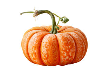 Bright orange pumpkin with a green stem