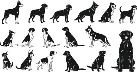 Dog breed silhouettes—17 black vector illustrations of sitting, standing, and lying poses featuring Doberman, Beagle, Shepherd, and more