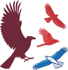 vector illustration of a bird