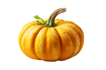 Beautiful yellow pumpkin with green stem