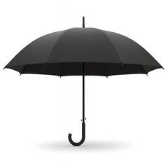 Black classic umbrella front view with curved handle and eight-panel canopy design, professional studio shot on white background for commercial product catalogs