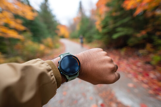 Smartwatch interface tracking activity during an autumn walk on a scenic forest path