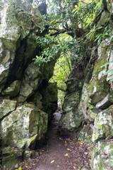 PR10 Levada do Furado