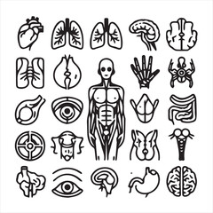 Human body parts line icon set
