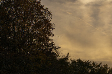 Airplane photo, soft golden sky, aviation and travel concept 