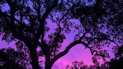 Majestic tree standing alone in nature showcasing the beauty of the surrounding landscape
