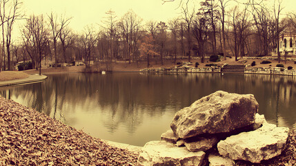 Tranquil pond featuring a large rock in the center surrounded by lush greenery and water